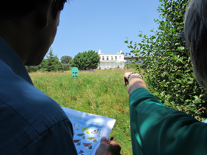 The event which is organised by the Butterfly Conservation