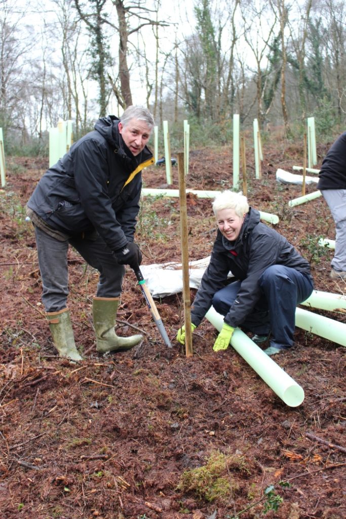 Planting trees in the Government accredited Woodland Carbon scheme