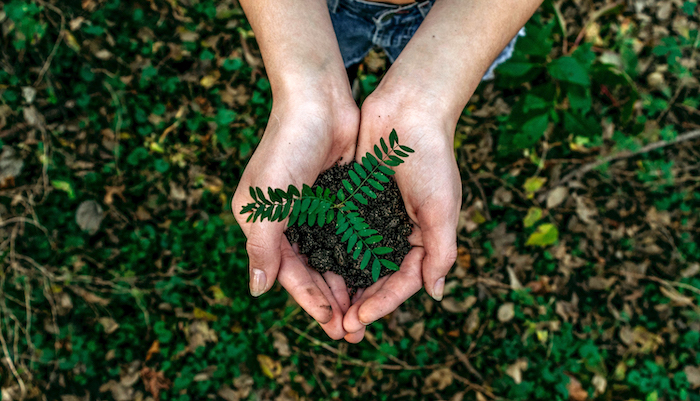 Thinking of sustainability